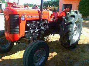 Trator massey fergusson mf 65x 1976